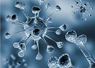 米乐YY易游体内体外药效试验顺遂通过药监局审查