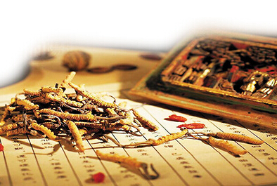 yy易游(中国)体育-米乐官方网站