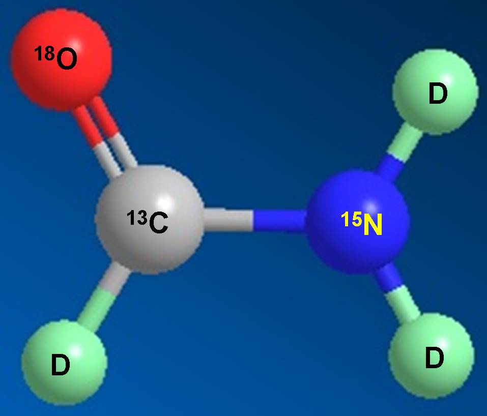 米乐YY易游科研职员受邀担当同位素手艺交流培训会讲师