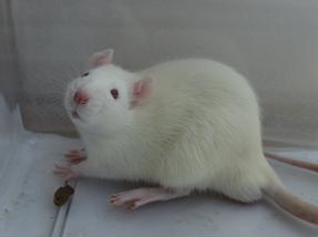 yy易游(中国)体育-米乐官方网站