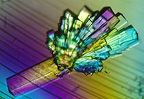 米乐YY易游副总裁金晓玮博士等一行出席了在上海举行的中国科学手艺大学校友会沙龙