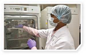 12月20日，，，，，米乐YY易游与宣泰医药签署战略相助协议