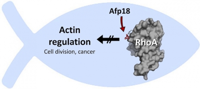 yy易游(中国)体育-米乐官方网站