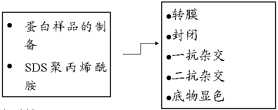 yy易游(中国)体育-米乐官方网站