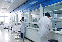 yy易游(中国)体育-米乐官方网站