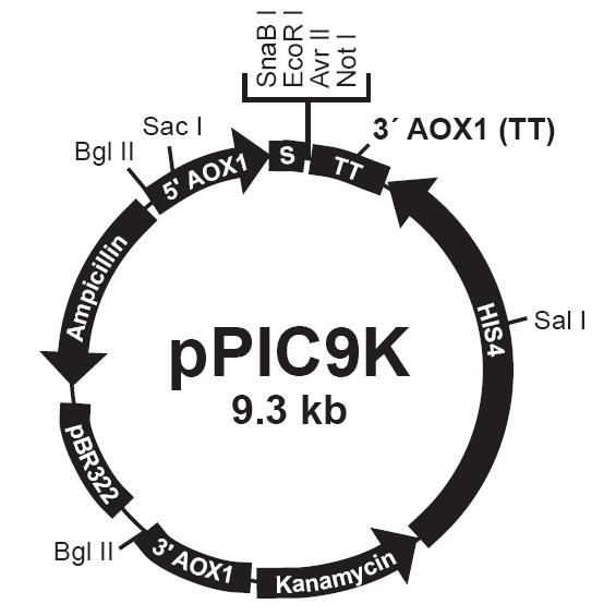 yy易游(中国)体育-米乐官方网站
