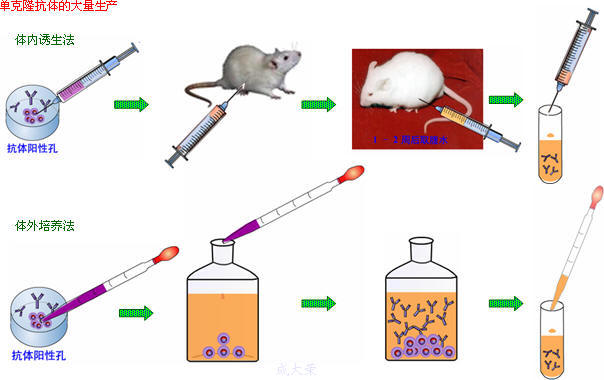 yy易游(中国)体育-米乐官方网站