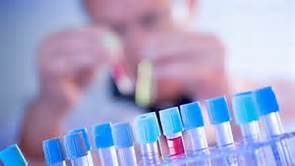 yy易游(中国)体育-米乐官方网站