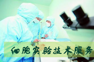 yy易游(中国)体育-米乐官方网站