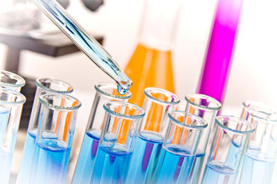 米乐YY易游生物实验