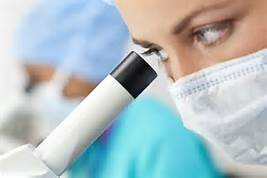 yy易游(中国)体育-米乐官方网站