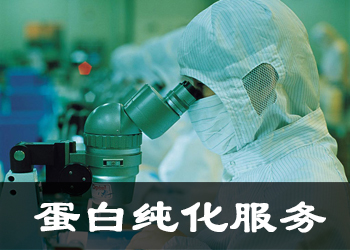 卵白纯化服务