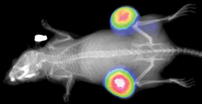 yy易游(中国)体育-米乐官方网站