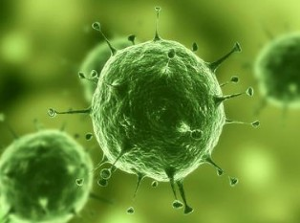 yy易游(中国)体育-米乐官方网站