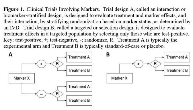 yy易游(中国)体育-米乐官方网站