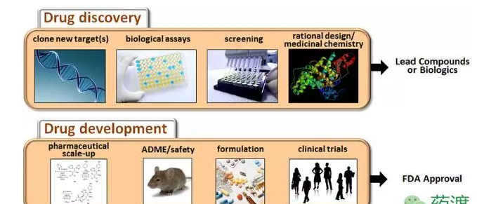 yy易游(中国)体育-米乐官方网站