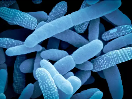 yy易游(中国)体育-米乐官方网站