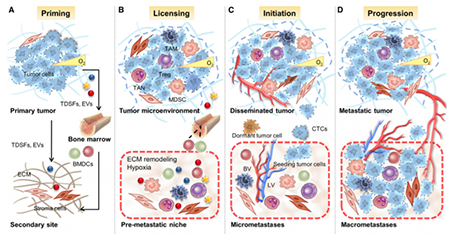 yy易游(中国)体育-米乐官方网站