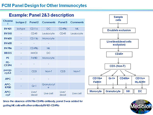 米乐YY易游副总裁汪俊博士SAPA-DC聚会演讲PPT