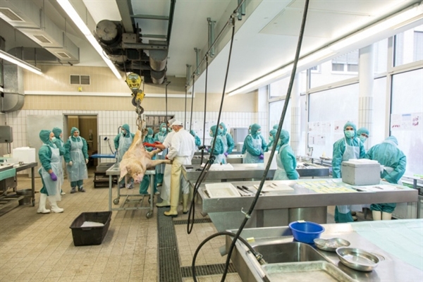 专利悬崖到来，，，，，，，，骨质松散症药物新药研发战况怎样？？？？？？