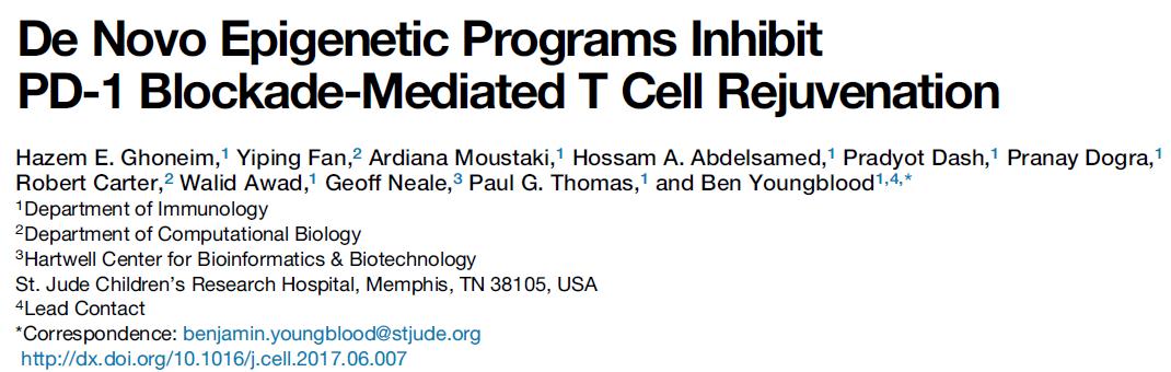 yy易游(中国)体育-米乐官方网站
