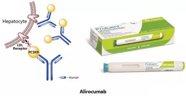yy易游(中国)体育-米乐官方网站