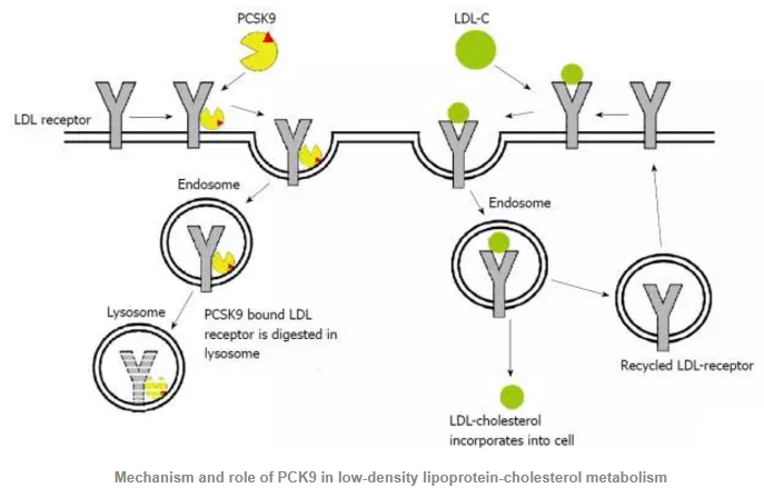 yy易游(中国)体育-米乐官方网站