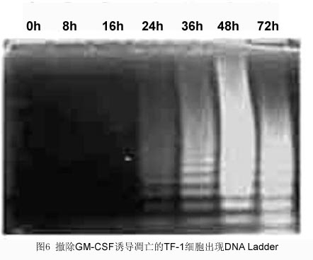 yy易游(中国)体育-米乐官方网站