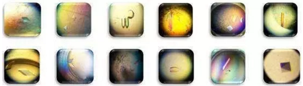 yy易游(中国)体育-米乐官方网站