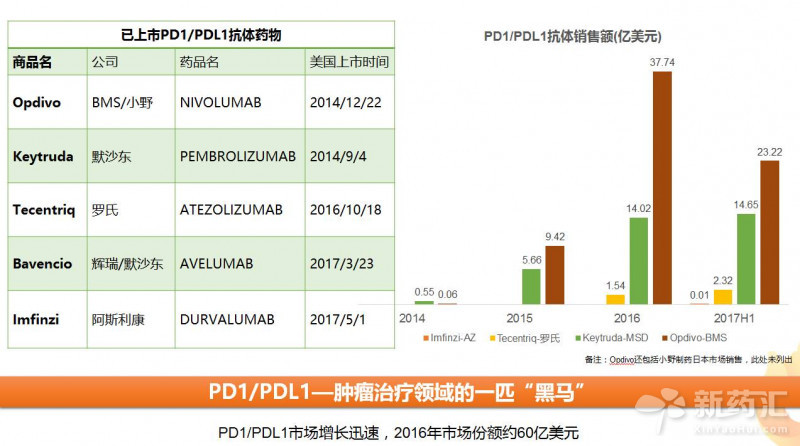 yy易游(中国)体育-米乐官方网站