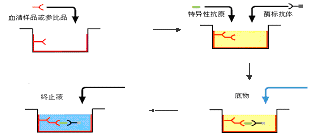 yy易游(中国)体育-米乐官方网站