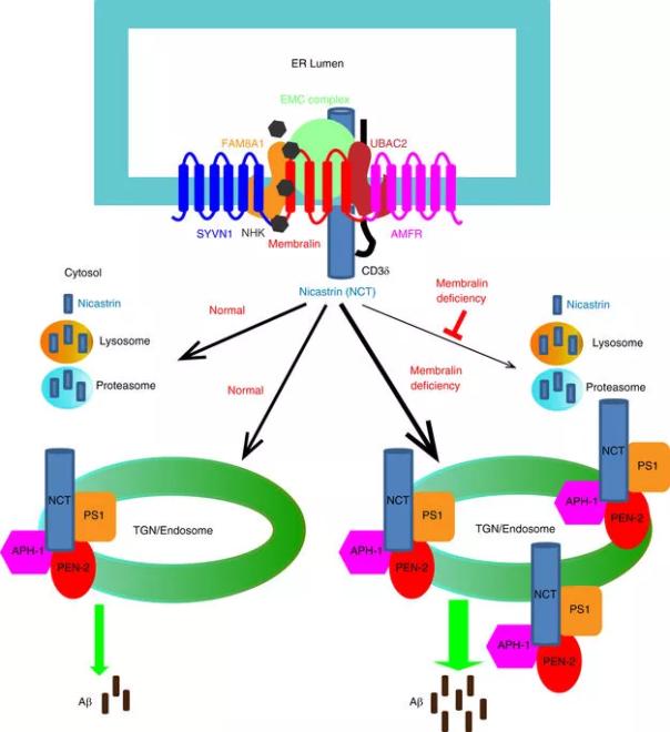 yy易游(中国)体育-米乐官方网站