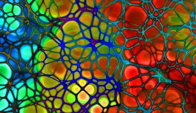 yy易游(中国)体育-米乐官方网站