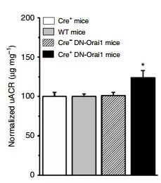 yy易游(中国)体育-米乐官方网站