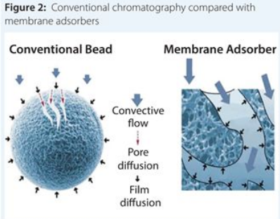 yy易游(中国)体育-米乐官方网站