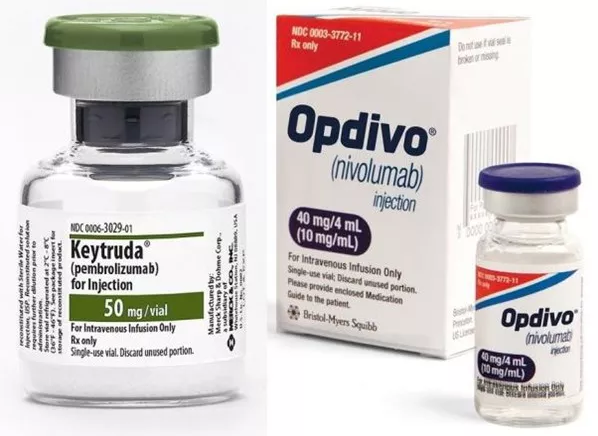 yy易游(中国)体育-米乐官方网站