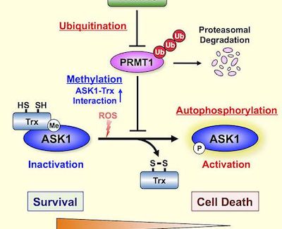 yy易游(中国)体育-米乐官方网站