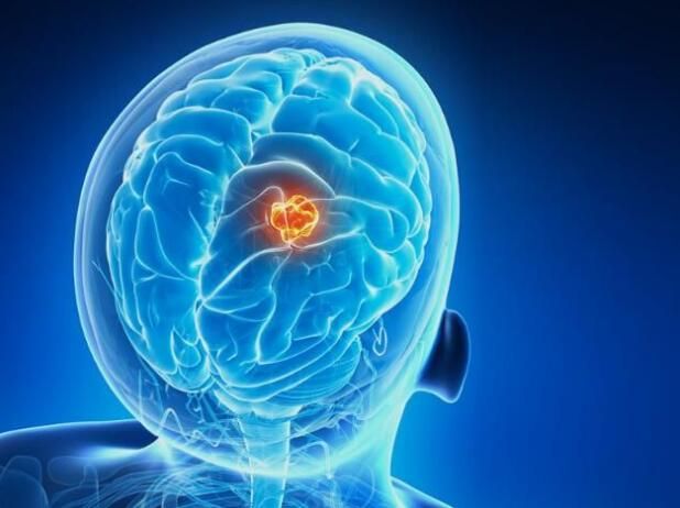 yy易游(中国)体育-米乐官方网站