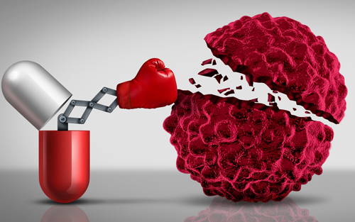 yy易游(中国)体育-米乐官方网站