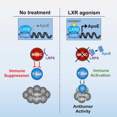 yy易游(中国)体育-米乐官方网站