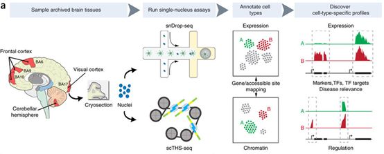 yy易游(中国)体育-米乐官方网站