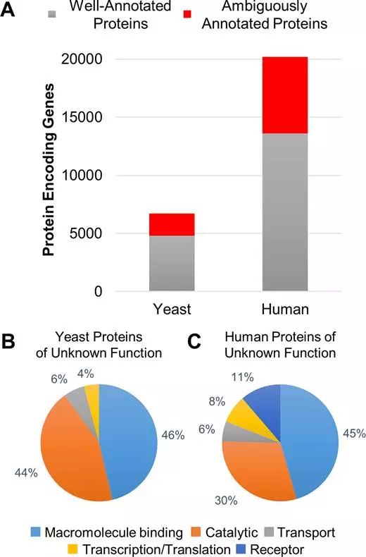 yy易游(中国)体育-米乐官方网站
