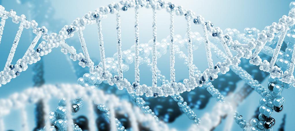 浅谈米乐YY易游抗体药物PK剖析要领学设计的思量要点