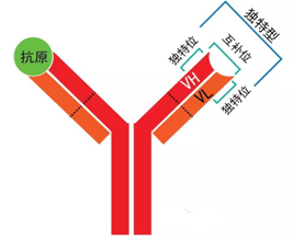 yy易游(中国)体育-米乐官方网站
