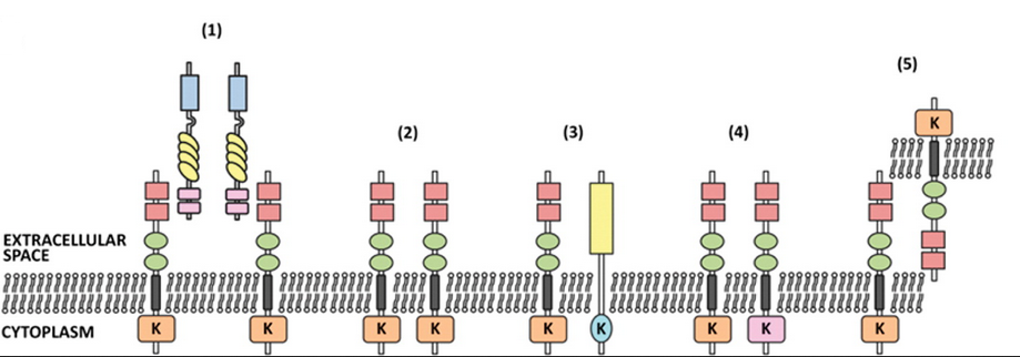 yy易游(中国)体育-米乐官方网站