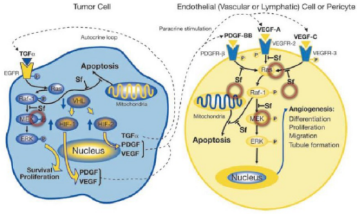 yy易游(中国)体育-米乐官方网站