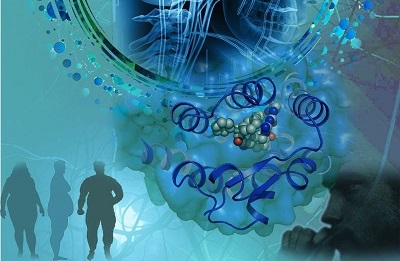 【盘货】单酰甘油酯酶（MAGL）抑制剂的研究希望