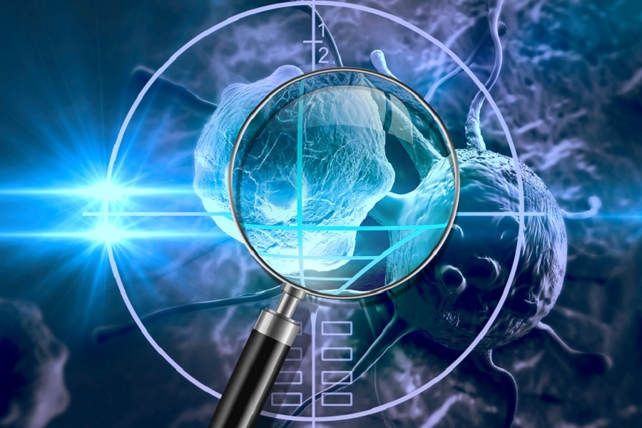 yy易游(中国)体育-米乐官方网站