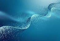 【盘货】CYP1B1抑制剂的研究现状