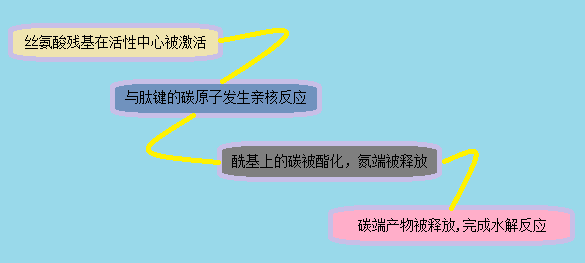 yy易游(中国)体育-米乐官方网站